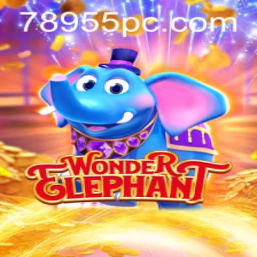 Exploring the Wonder and Excitement of WonderElephant